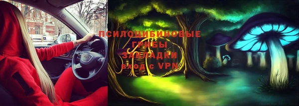 индика Богородицк