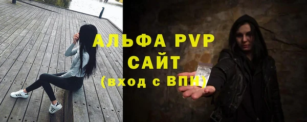 индика Богородицк