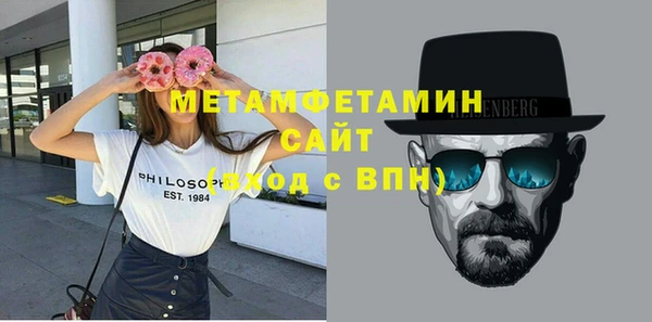 индика Богородицк
