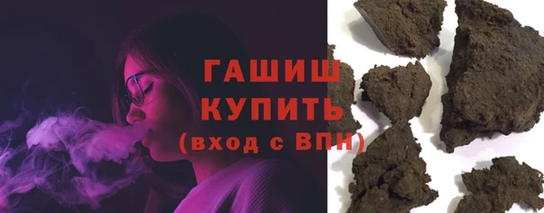 индика Богородицк