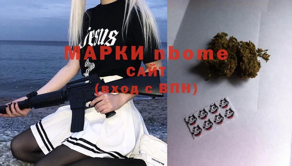 индика Богородицк
