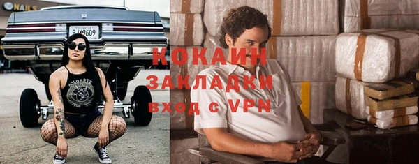 индика Богородицк